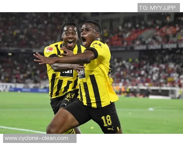 多特蒙德主场净胜弗赖堡，稳固德甲亚军位置