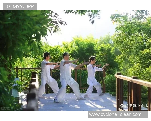 探寻太极的最高境界与内在智慧的和谐统一之道 探寻太极的最高境界与内在智慧的和谐统一之道