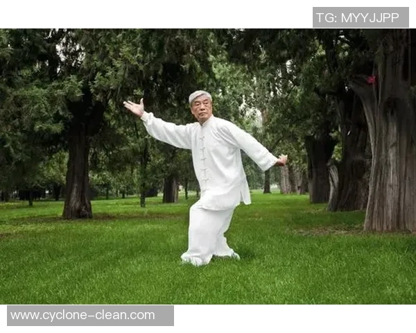 太极单鞭的魅力与内涵探讨：传统武术中的优雅与力量结合