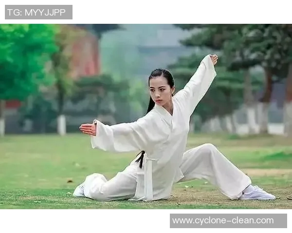 深入浅出三十二式太极拳分解教学全解析助你轻松掌握太极精髓